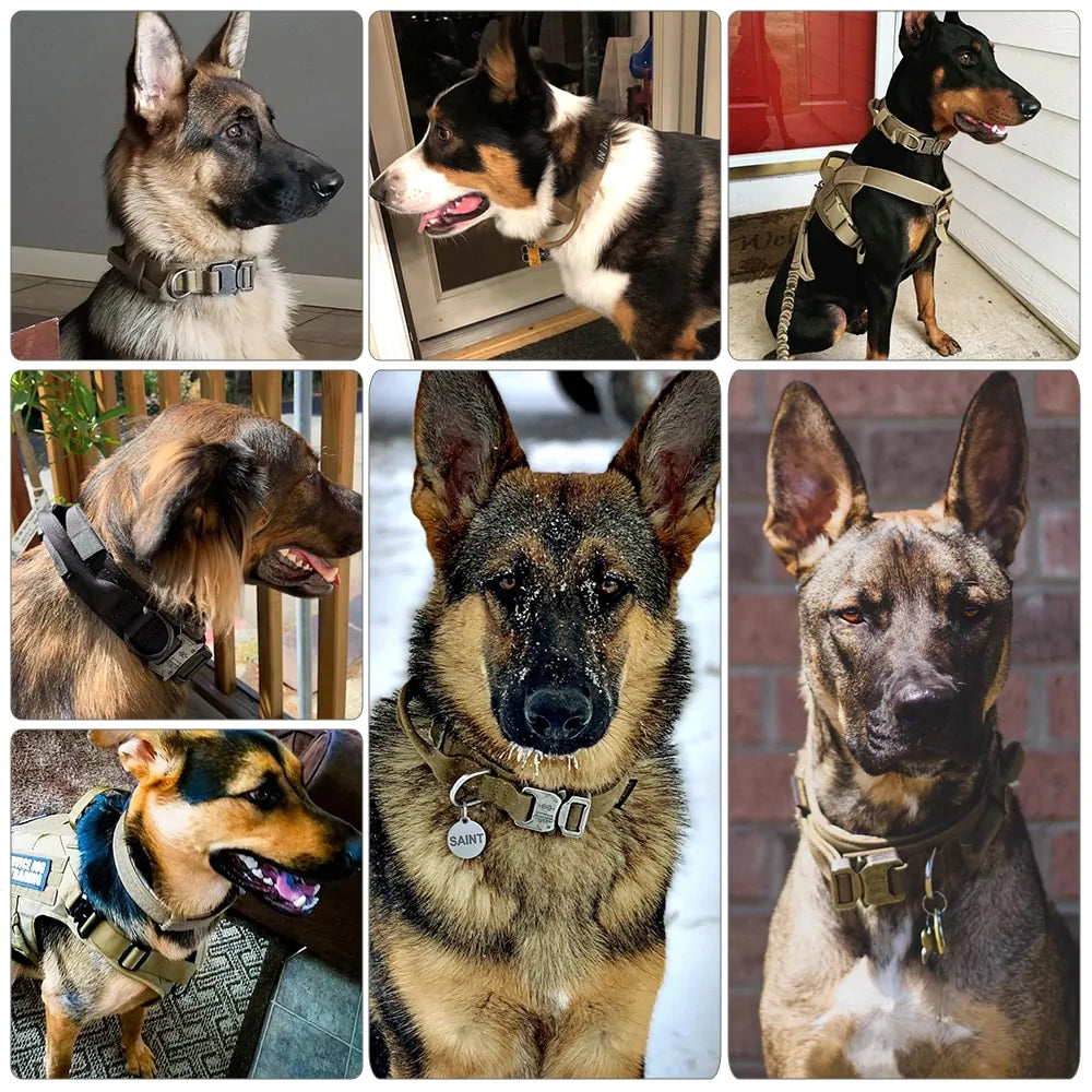 Tactical Dog Collar - TaleezDeals