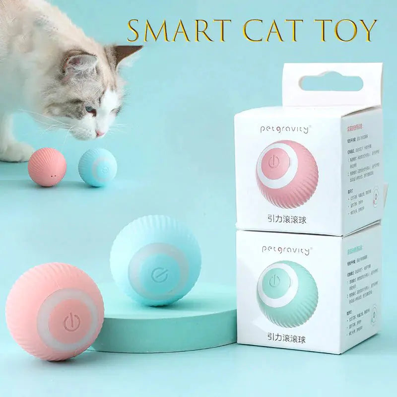 Smart Cat toy-male or female!