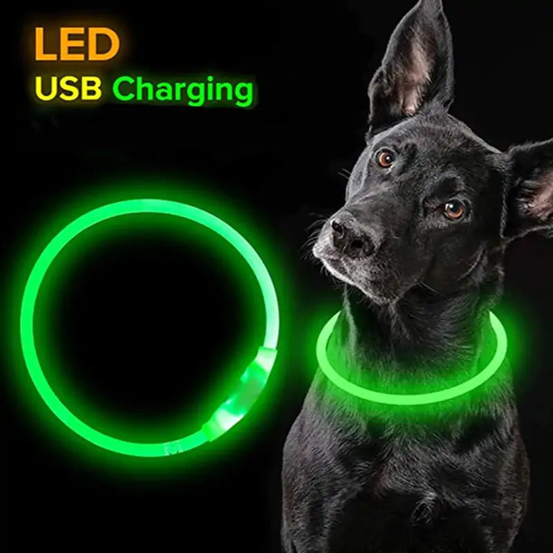 LED Waterproof Dog Collars - TaleezDeals