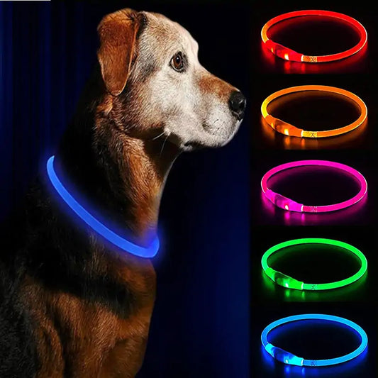 LED Waterproof Dog Collars - TaleezDeals